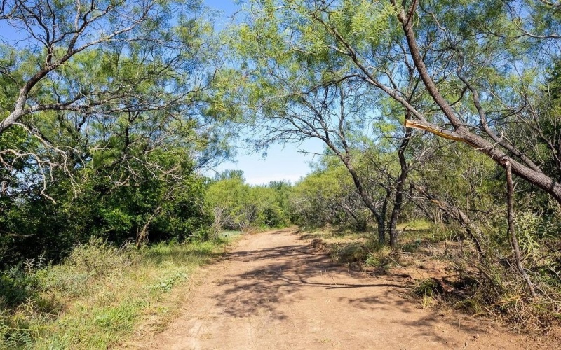 0000 S Fm Rd 113, Millsap, TX 76066, ,Land,For Sale,0000 S Fm Rd 113,20983545