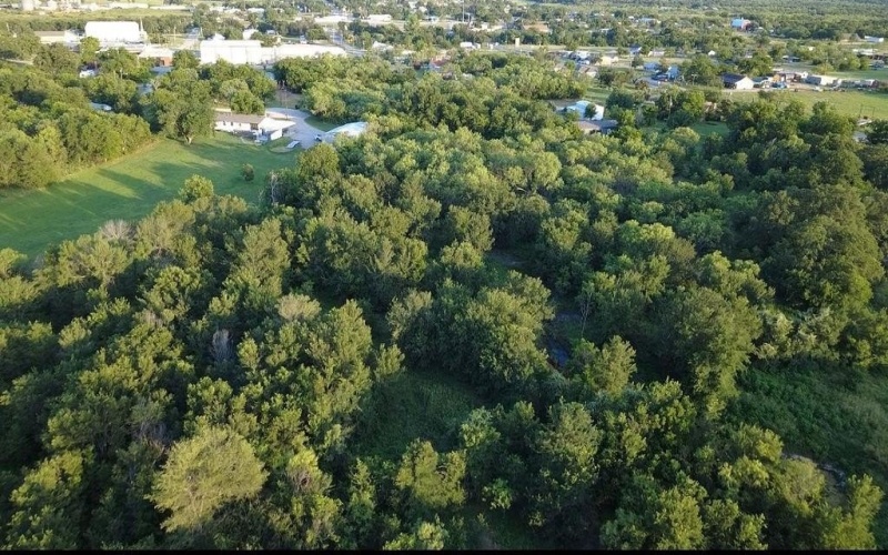 0000 S Fm Rd 113, Millsap, TX 76066, ,Land,For Sale,0000 S Fm Rd 113,20983545