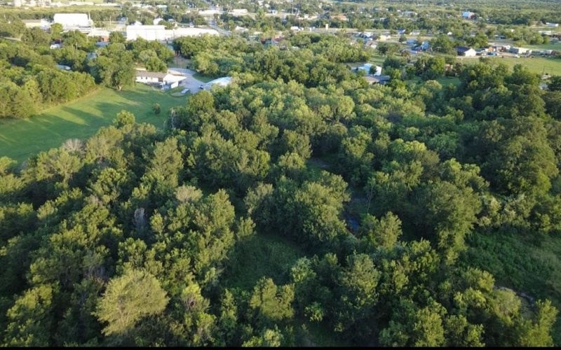 0000 S Fm Rd 113, Millsap, TX 76066, ,Land,For Sale,0000 S Fm Rd 113,20983545