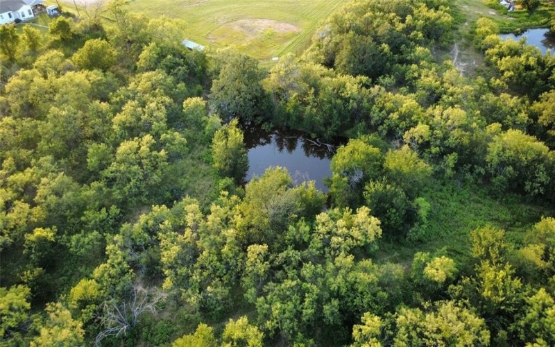 0000 S Fm Rd 113, Millsap, TX 76066, ,Land,For Sale,0000 S Fm Rd 113,20983545