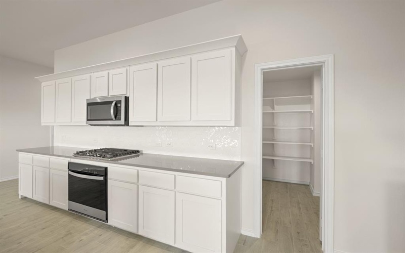 721 Scarlet Sage Drive, Waxahachie, TX 75165, 3 Habitaciones Habitaciones , ,2 BañosBaños,Residential,En Venta,721 Scarlet Sage Drive,0,20993511