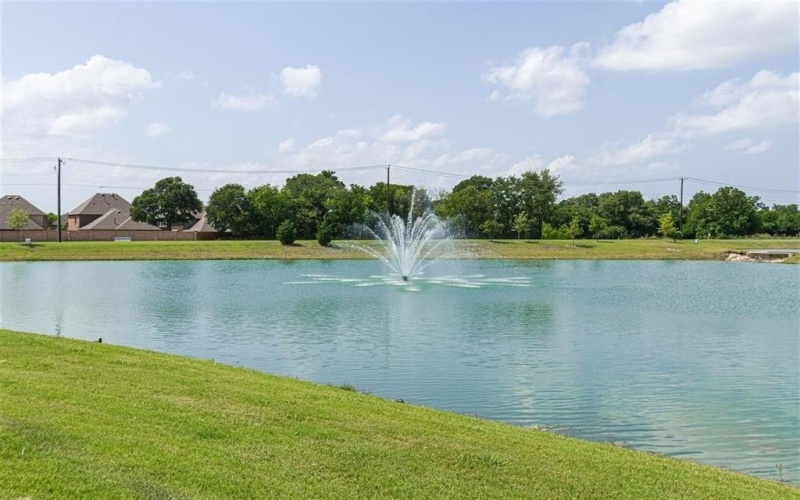 135 Mint Marigold Drive, Wylie, TX 75098, 4 Habitaciones Habitaciones , ,5 BañosBaños,Residential,En Venta,135 Mint Marigold Drive,20993535