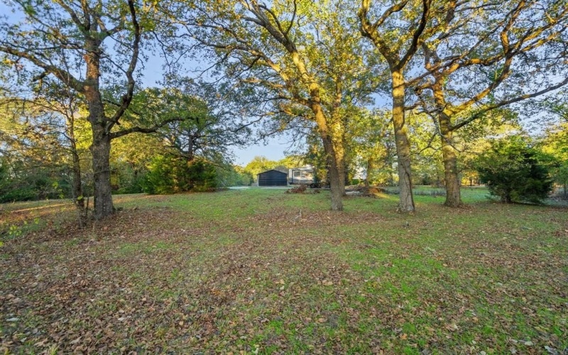 403 County Road 3210, Emory, TX 75440, ,Land,For Sale,403 County Road 3210,20993925