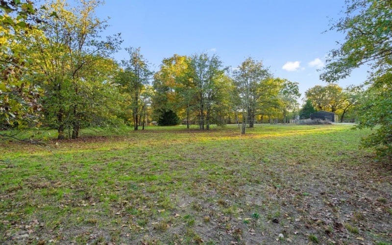 403 County Road 3210, Emory, TX 75440, ,Land,For Sale,403 County Road 3210,20993925