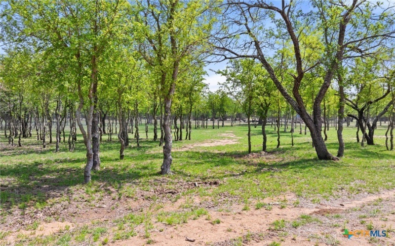 10900 Ranch Road 1323, Johnson City, TX 78636, 3 Bedrooms Bedrooms, ,2 BathroomsBathrooms,Other,For Sale,10900 Ranch Road 1323,586026