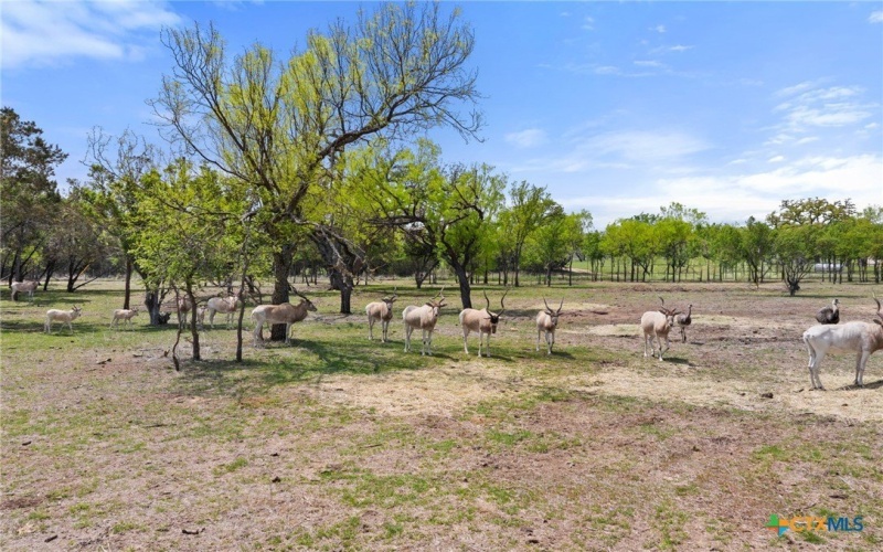 10900 Ranch Road 1323, Johnson City, TX 78636, 3 Bedrooms Bedrooms, ,2 BathroomsBathrooms,Other,For Sale,10900 Ranch Road 1323,586026