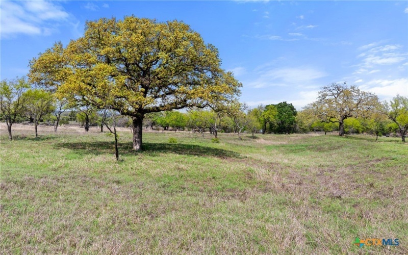 10900 Ranch Road 1323, Johnson City, TX 78636, 3 Bedrooms Bedrooms, ,2 BathroomsBathrooms,Other,For Sale,10900 Ranch Road 1323,586026