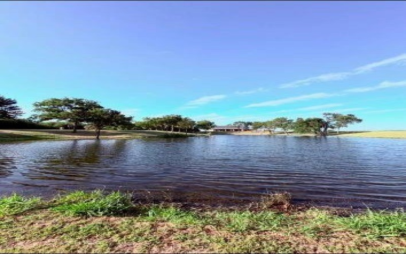 4251 Refuge Road, Sherman, TX 75092, ,Land,For Sale,4251 Refuge Road,20995657