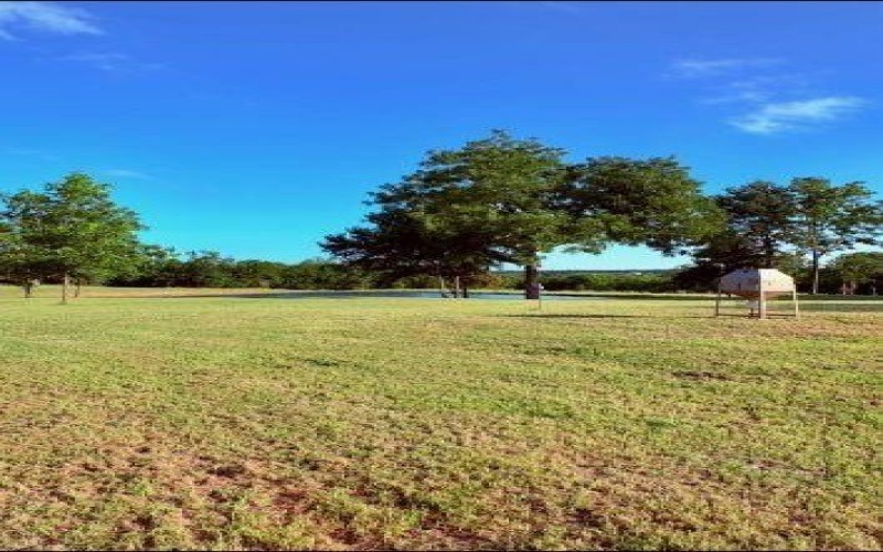 4251 Refuge Road, Sherman, TX 75092, ,Land,For Sale,4251 Refuge Road,20995657