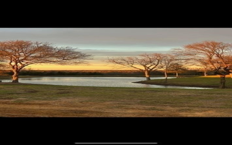 4251 Refuge Road, Sherman, TX 75092, ,Land,For Sale,4251 Refuge Road,20995657