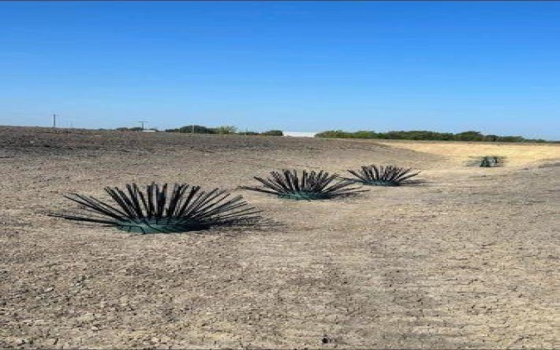 4251 Refuge Road, Sherman, TX 75092, ,Land,For Sale,4251 Refuge Road,20995657