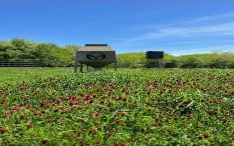 4251 Refuge Road, Sherman, TX 75092, ,Land,For Sale,4251 Refuge Road,20995657