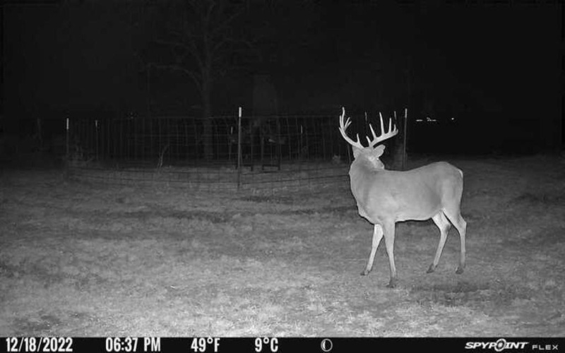 4251 Refuge Road, Sherman, TX 75092, ,Land,For Sale,4251 Refuge Road,20995657