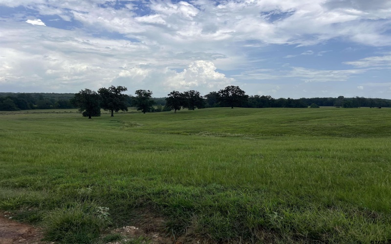 TBD CR 3330, Omaha, TX 75571, 4 Bedrooms Bedrooms, ,3 BathroomsBathrooms,Farm,For Sale,TBD CR 3330,25010451