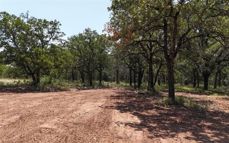 1991 Sunflower Road, Bridgeport, TX 76073, 4 Bedrooms Bedrooms, ,2 BathroomsBathrooms,Residential,For Sale,1991 Sunflower Road,20993709