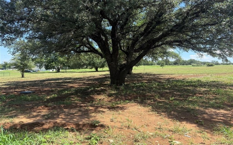 137 Cartwright Road, Weatherford, TX 76087, 4 Bedrooms Bedrooms, ,3 BathroomsBathrooms,Residential,For Sale,137 Cartwright Road,20994569