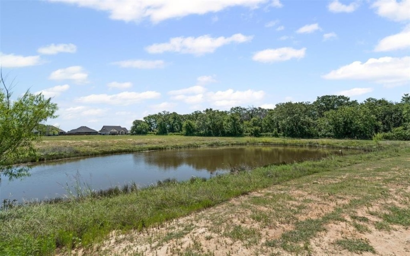 407 Sun Flower Court, Tolar, TX 76476, 4 Bedrooms Bedrooms, ,2 BathroomsBathrooms,Residential,For Sale,407 Sun Flower Court,20997449