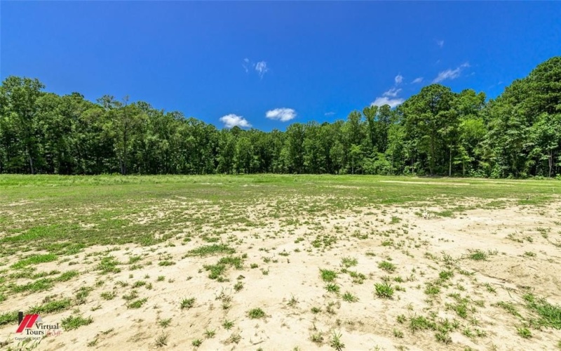 790 Chalybeate Springs Road, Plain Dealing, LA 71064, 4 Bedrooms Bedrooms, ,3 BathroomsBathrooms,Residential,For Sale,790 Chalybeate Springs Road,0,20995684