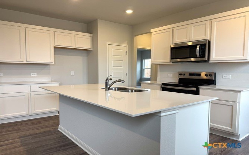 1145 Wild Leaf Way, San Marcos, TX 78666, 4 Habitaciones Habitaciones , ,2 BañosBaños,Residential,En Venta,1145 Wild Leaf Way,556393