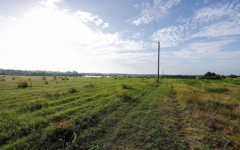 334 Vineyard View Trail, Carmine, TX 78932, 2 Habitaciones Habitaciones , ,2 BañosBaños,Granja,En Venta,334 Vineyard View Trail,152681