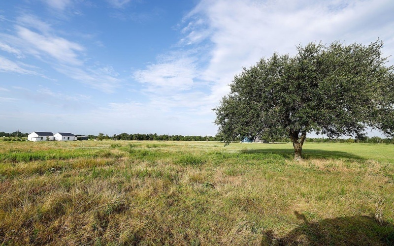 400 Vineyard View Trail, Carmine, TX 78932, 3 Habitaciones Habitaciones , ,3 BañosBaños,Granja,En Venta,400 Vineyard View Trail,152682