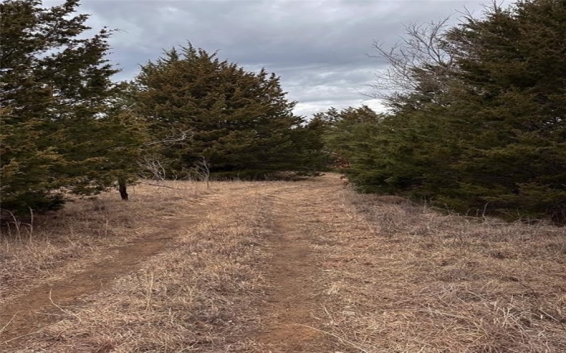 Tbd Burrows Chapel Road, Gordonville, TX 76245, 3 Bedrooms Bedrooms, ,3 BathroomsBathrooms,Residential,For Sale,Tbd Burrows Chapel Road,21001944