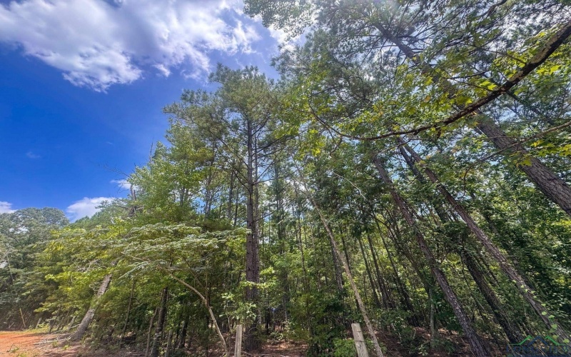 21 County Road 4449, Bivins, TX 75555, 4 Habitaciones Habitaciones , ,2 BañosBaños,Residential,En Venta,21 County Road 4449,0,20254996