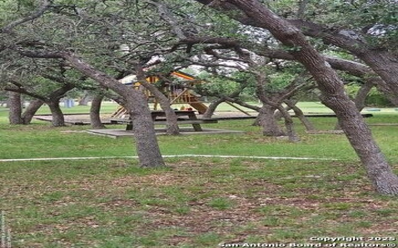 5250 Spring Branch, Spring Branch, TX 78070, 4 Bedrooms Bedrooms, ,3 BathroomsBathrooms,Residential,For Sale,5250 Spring Branch,0,1885382