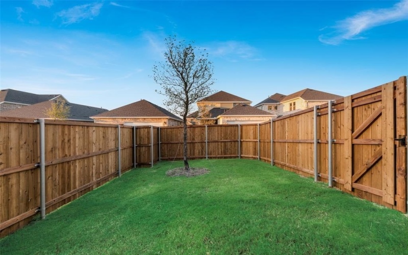 3109 Buckeye Street, Celina, TX 75009, 4 Habitaciones Habitaciones , ,2 BañosBaños,Residential,En Venta,3109 Buckeye Street,0,20826715