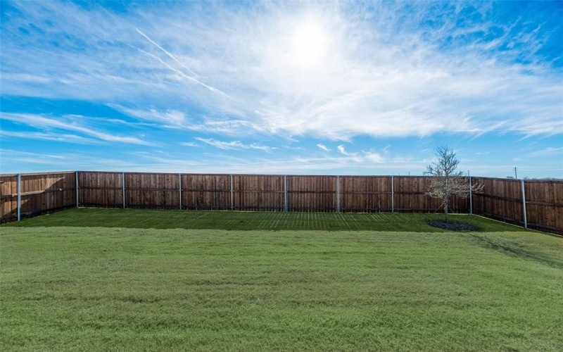 3104 Rock Rose Drive, Celina, TX 75009, 4 Bedrooms Bedrooms, ,2 BathroomsBathrooms,Residential,For Sale,3104 Rock Rose Drive,0,20826730