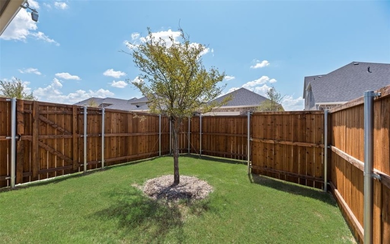 3124 Arthurdale Street, Celina, TX 75009, 3 Bedrooms Bedrooms, ,2 BathroomsBathrooms,Residential,For Sale,3124 Arthurdale Street,0,20990700