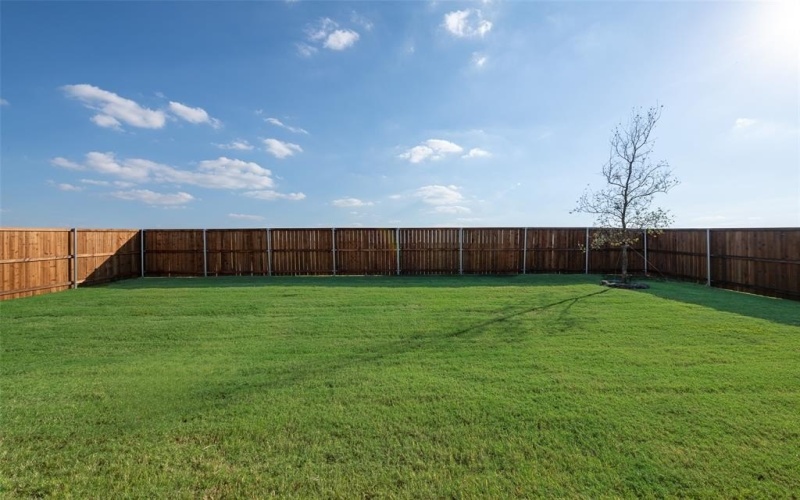 3000 Rock Rose Drive, Celina, TX 75009, 4 Habitaciones Habitaciones , ,2 BañosBaños,Residential,En Venta,3000 Rock Rose Drive,0,20991701