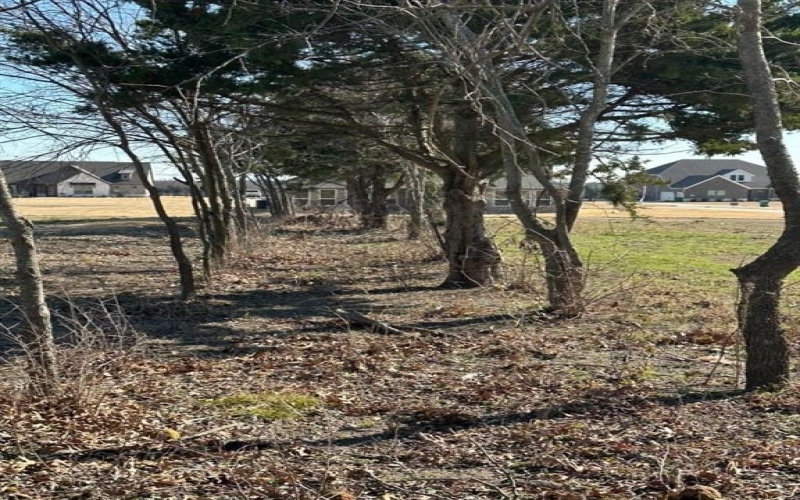 290 Cofer Road, Leonard, TX 75452, 4 Bedrooms Bedrooms, ,3 BathroomsBathrooms,Residential,For Sale,290 Cofer Road,0,21007403