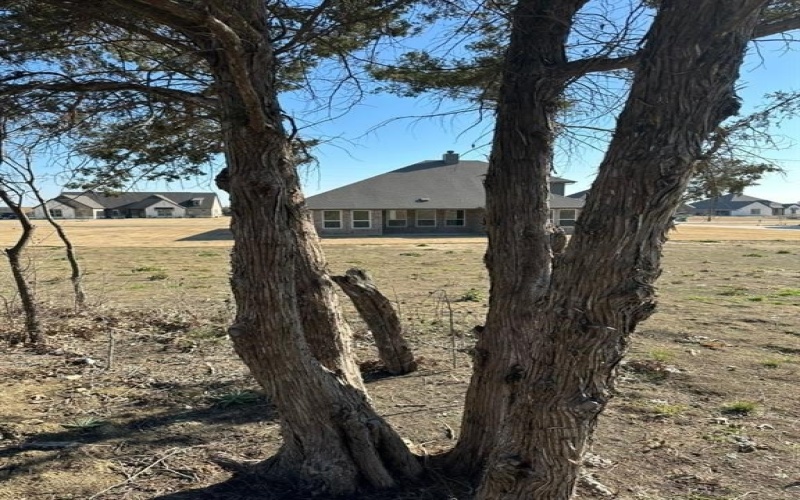 290 Cofer Road, Leonard, TX 75452, 4 Bedrooms Bedrooms, ,3 BathroomsBathrooms,Residential,For Sale,290 Cofer Road,0,21007403