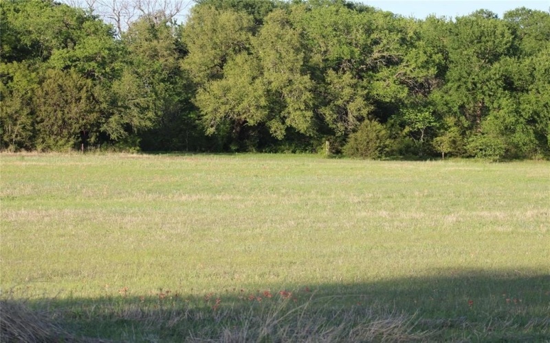 Lot 17 Waters Edge Lane, Glen Rose, TX 76043, 4 Bedrooms Bedrooms, ,3 BathroomsBathrooms,Residential,For Sale,Lot 17 Waters Edge Lane,21012603