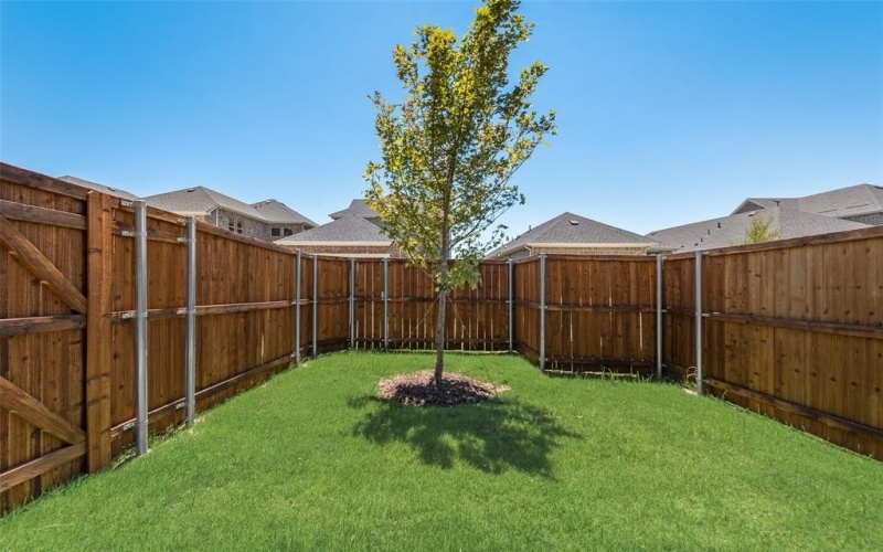 3116 Arthurdale Street, Celina, TX 75009, 3 Habitaciones Habitaciones , ,2 BañosBaños,Residential,En Venta,3116 Arthurdale Street,0,21013596