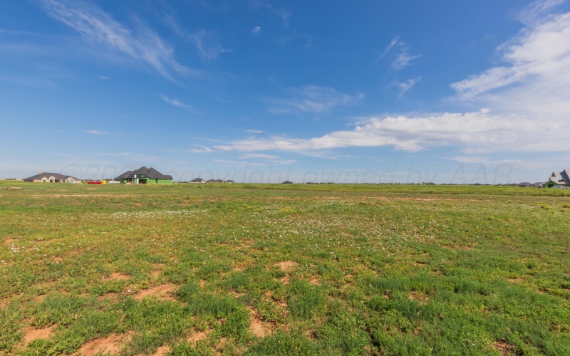 9402 BETHPAGE Avenue, Amarillo, TX 79119, 4 Bedrooms Bedrooms, ,3 BathroomsBathrooms,Residential,For Sale,9402 BETHPAGE Avenue,0,25-6628