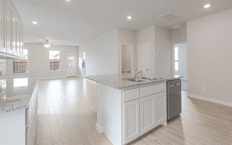 119 HIBISCUS Drive, Boyd, TX 76023, 4 Bedrooms Bedrooms, ,2 BathroomsBathrooms,Residential,For Sale,119 HIBISCUS Drive,21013172