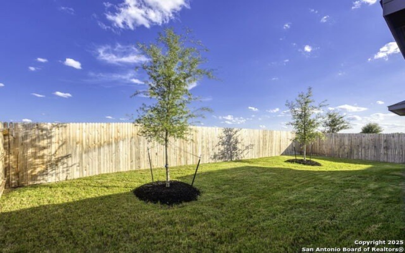 12730 Horizon Crest, Schertz, TX 78154, 4 Habitaciones Habitaciones , ,3 BañosBaños,Residential,En Venta,12730 Horizon Crest,1888083