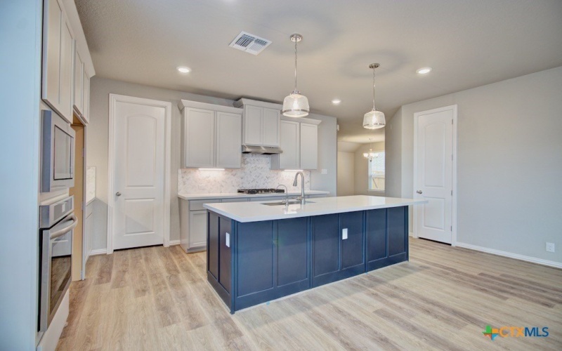 813 Saltbush Street, New Braunfels, TX 78130, 4 Bedrooms Bedrooms, ,3 BathroomsBathrooms,Residential,For Sale,813 Saltbush Street,0,588010