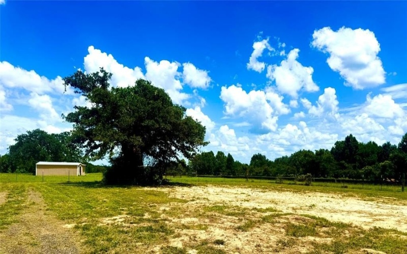 919 Golden Acres, Buffalo, TX 75831, 4 Bedrooms Bedrooms, ,2 BathroomsBathrooms,Residential,For Sale,919 Golden Acres,21010007