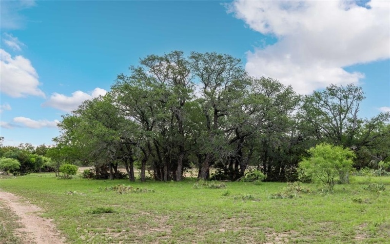12601 FM 586, Brookesmith, TX 76827, 8 Habitaciones Habitaciones , ,6 BañosBaños,Residential,En Venta,12601 FM 586,21016397