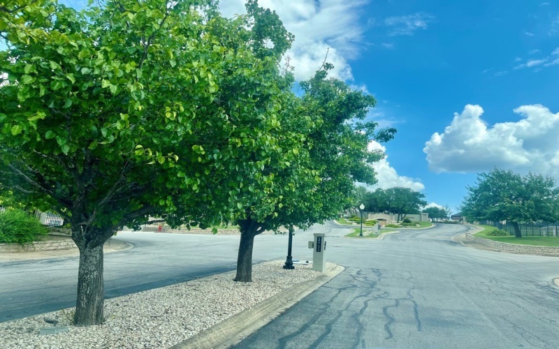 2005 Valencia Dr, Kerrville, TX 78028, 4 Bedrooms Bedrooms, ,2 BathroomsBathrooms,Residential,For Sale,2005 Valencia Dr,119916