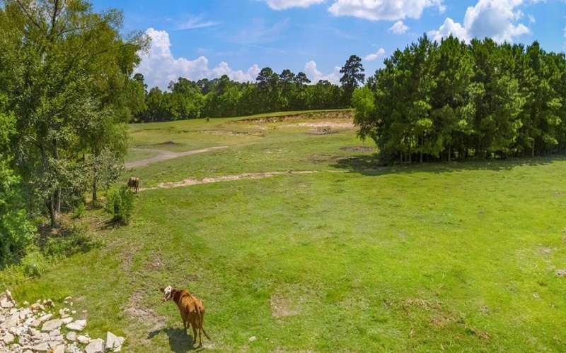 9429 FM 83, Pineland, TX 75968, 2 Bedrooms Bedrooms, ,1 BathroomBathrooms,Residential,For Sale,9429 FM 83,5105786