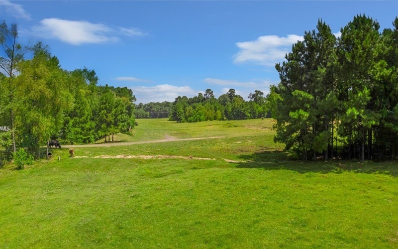 9429 FM 83, Pineland, TX 75968, 2 Bedrooms Bedrooms, ,1 BathroomBathrooms,Residential,For Sale,9429 FM 83,5105786