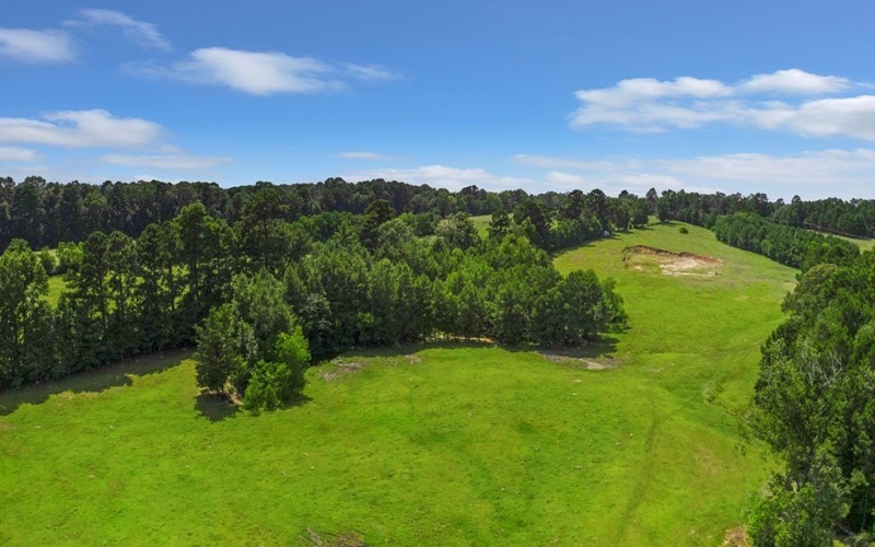 9429 FM 83, Pineland, TX 75968, 2 Bedrooms Bedrooms, ,1 BathroomBathrooms,Residential,For Sale,9429 FM 83,5105786