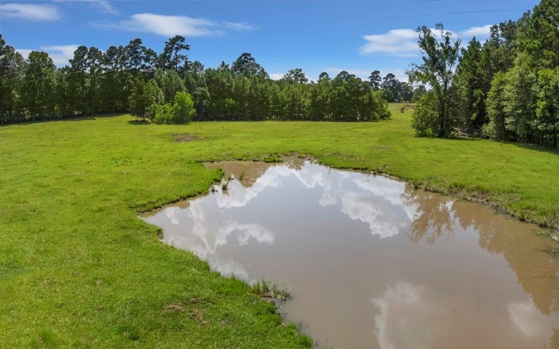 9429 FM 83, Pineland, TX 75968, 2 Bedrooms Bedrooms, ,1 BathroomBathrooms,Residential,For Sale,9429 FM 83,5105786