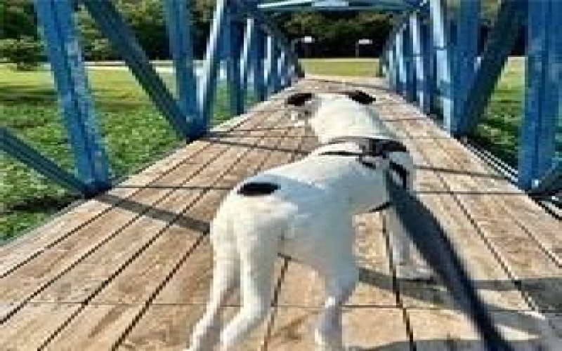 413 Travis Drive, McGregor, TX 76657, 4 Habitaciones Habitaciones , ,2 BañosBaños,Residential,En Venta,413 Travis Drive,0,21017315