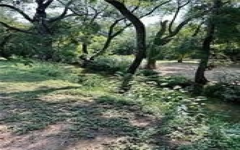 413 Travis Drive, McGregor, TX 76657, 4 Habitaciones Habitaciones , ,2 BañosBaños,Residential,En Venta,413 Travis Drive,0,21017315