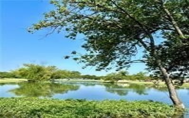 413 Travis Drive, McGregor, TX 76657, 4 Habitaciones Habitaciones , ,2 BañosBaños,Residential,En Venta,413 Travis Drive,0,21017315